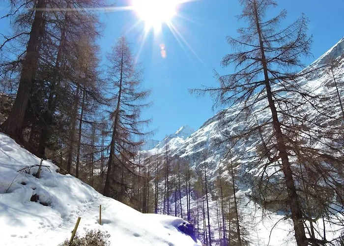 - Studio/mezzanine à 2 Pas Du Télécabine *