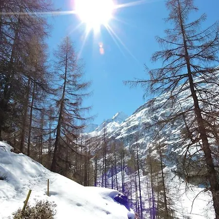 - Studio/mezzanine A 2 Pas Du Telecabine *